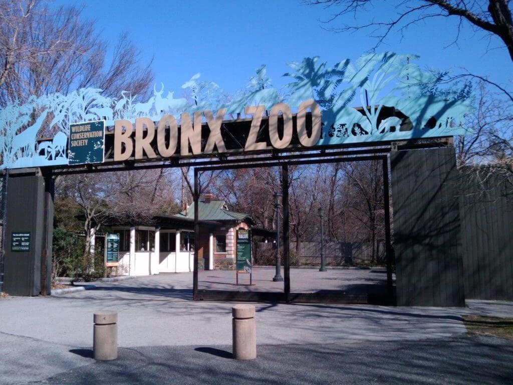 bronx-zoo